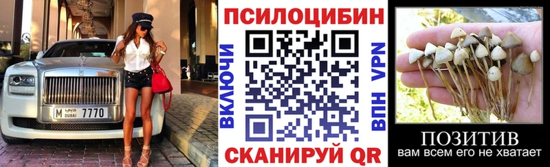 Галлюциногенные грибы MAGIC MUSHROOMS  Тында 